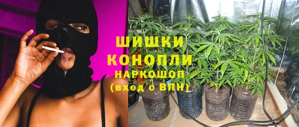ПСИЛОЦИБИНОВЫЕ ГРИБЫ Алексин