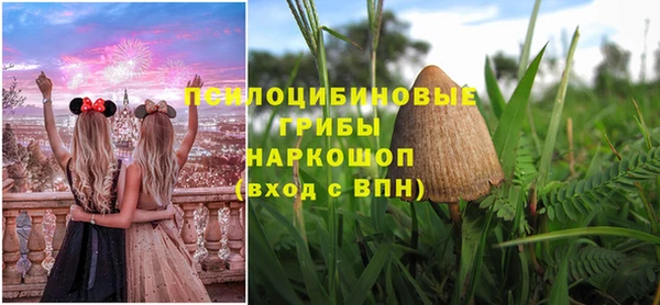 стафф Абинск