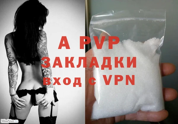 стафф Абинск