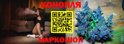 шишки Будённовск
