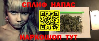 шишки Будённовск