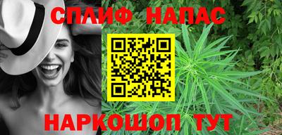 шишки Будённовск