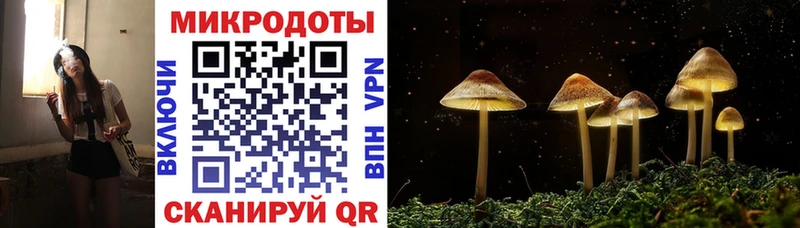 Галлюциногенные грибы GOLDEN TEACHER блэк спрут маркетплейс Звенигород