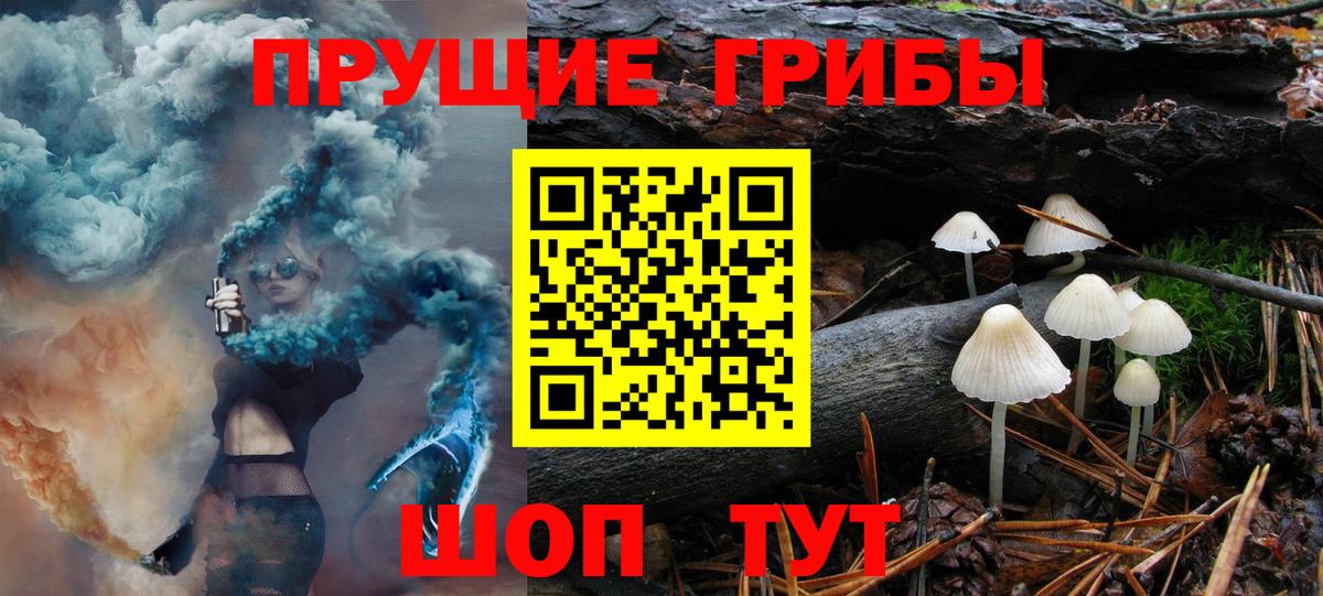 Псилоцибиновые грибы мухоморы  Вход с VPN  Псилоцибиновые грибы Psilocybine cubensis  Звенигород 