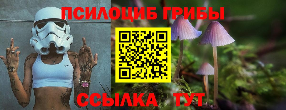 Галлюциногенные грибы MAGIC MUSHROOMS Звенигород